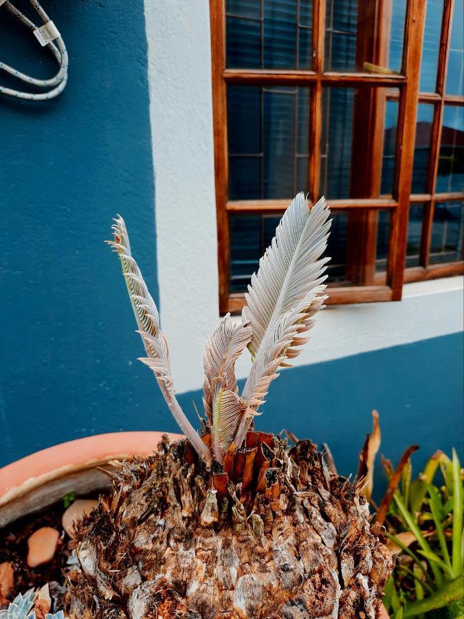 Woodii Guest House Sabie Exteriér fotografie